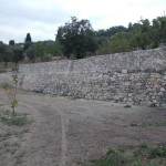 DSCN0045